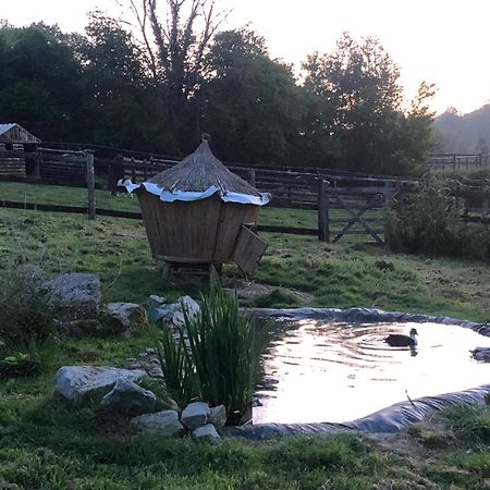 Bed and Breakfast Le Champ Des Possibles Manerbe Экстерьер фото