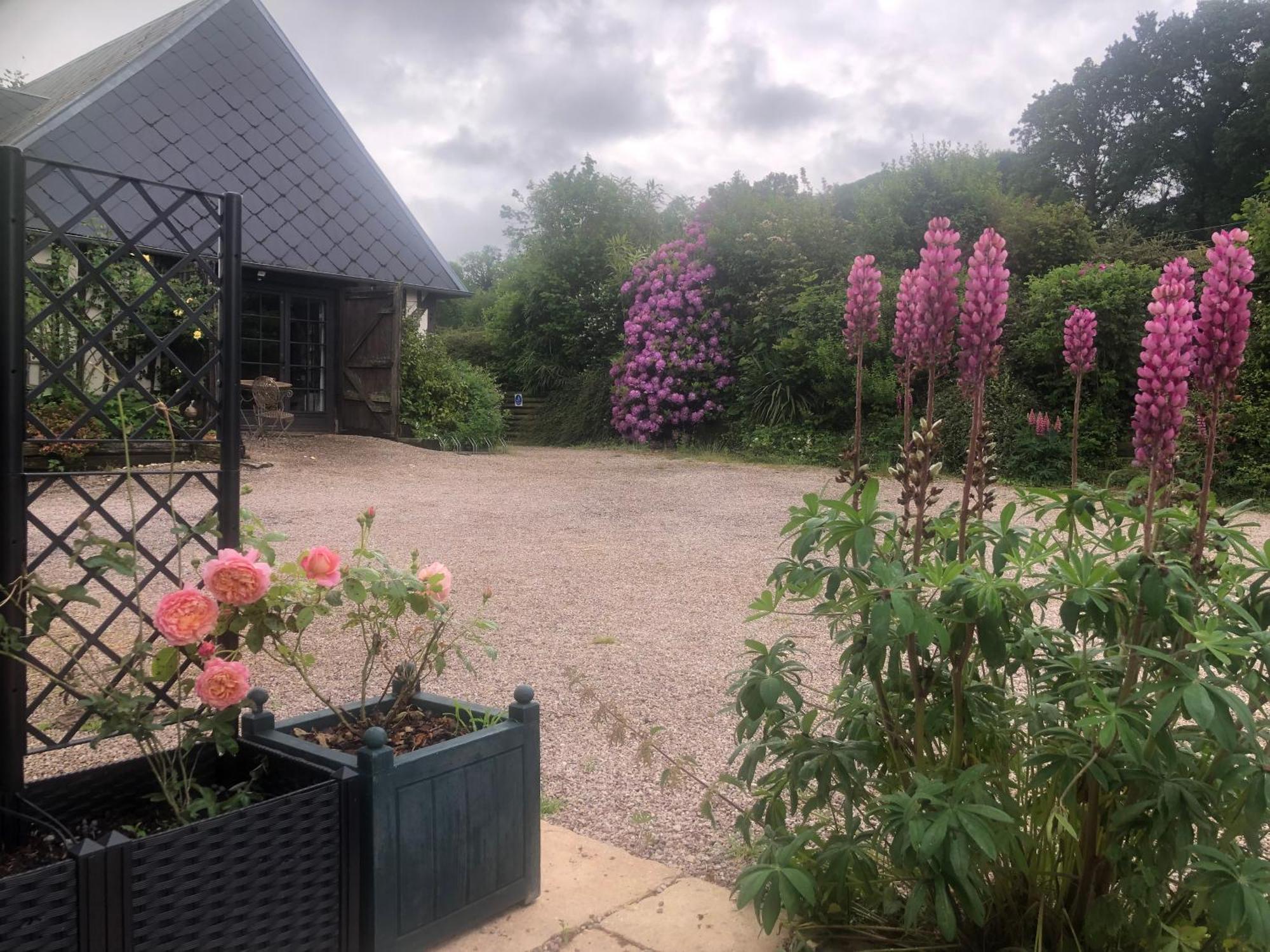 Bed and Breakfast Le Champ Des Possibles Manerbe Экстерьер фото