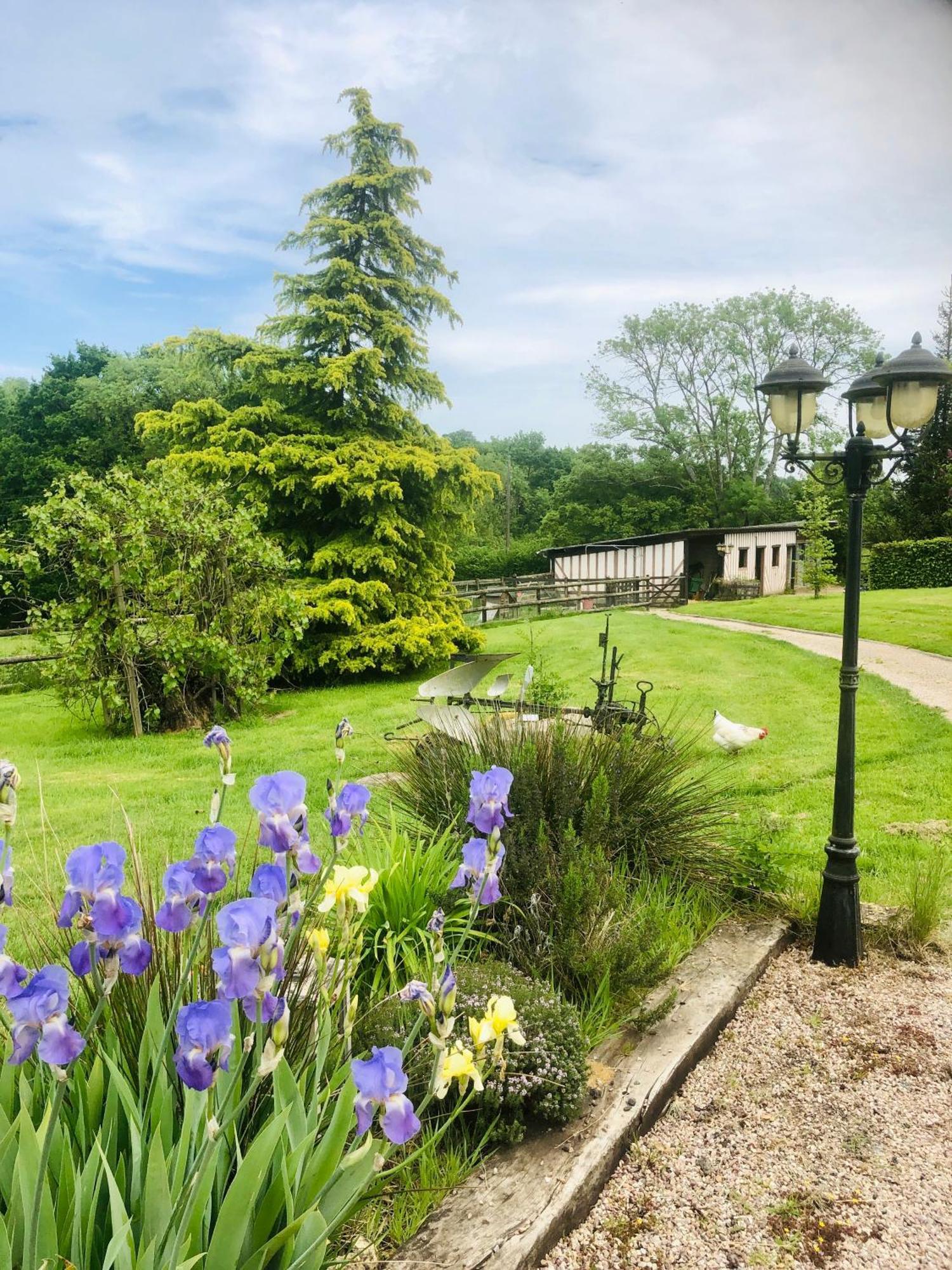 Bed and Breakfast Le Champ Des Possibles Manerbe Экстерьер фото