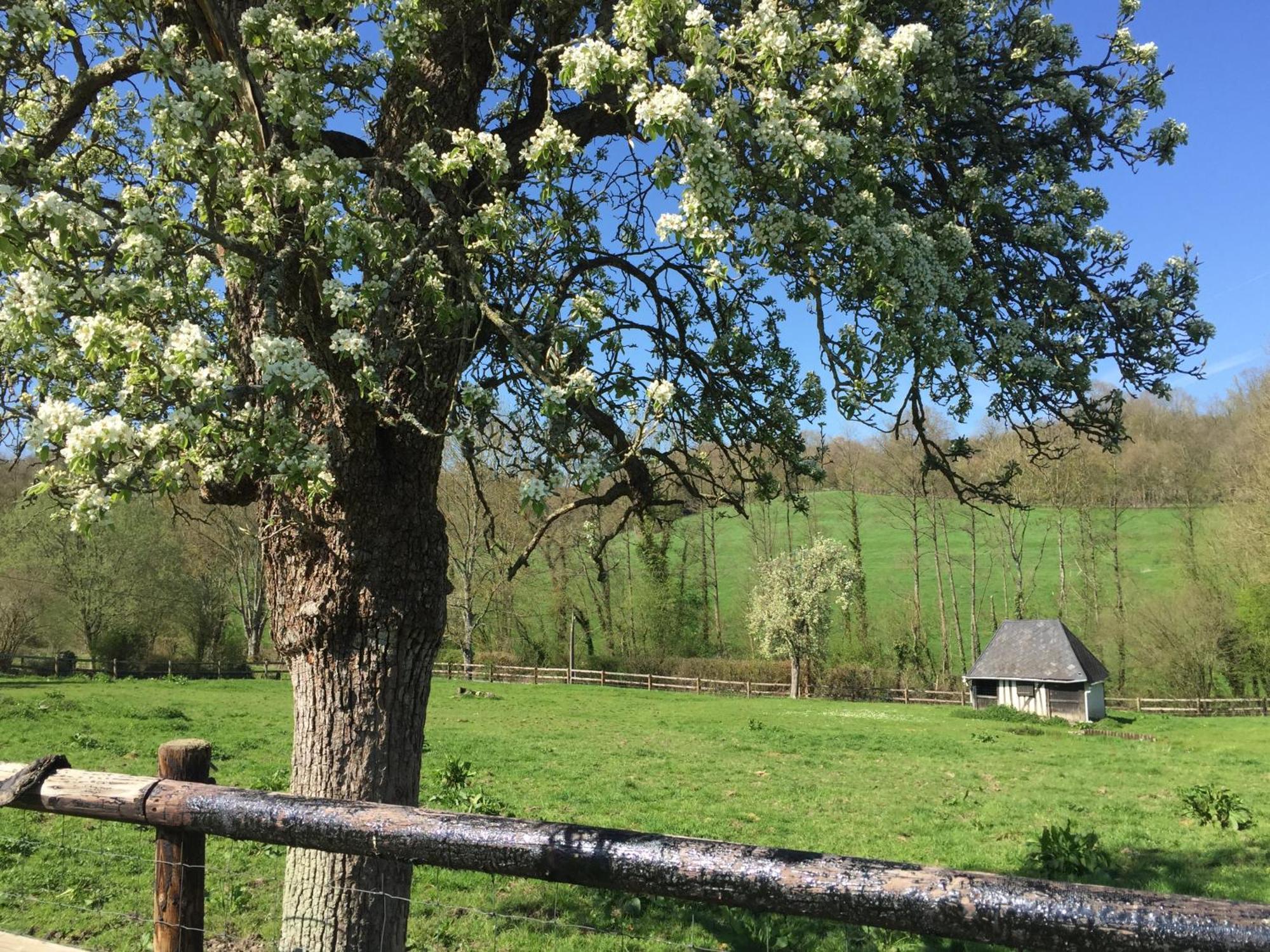 Bed and Breakfast Le Champ Des Possibles Manerbe Экстерьер фото