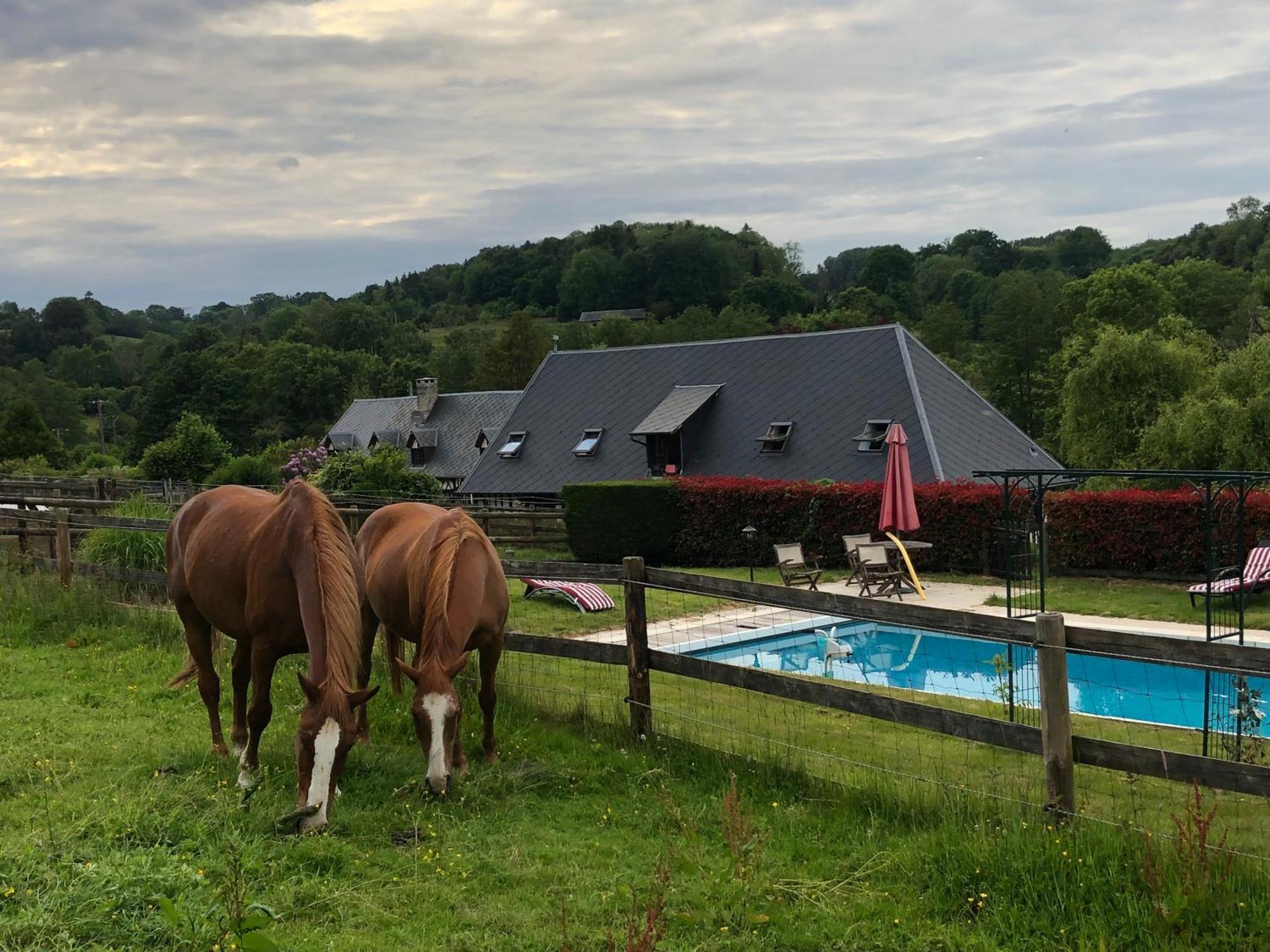 Bed and Breakfast Le Champ Des Possibles Manerbe Экстерьер фото
